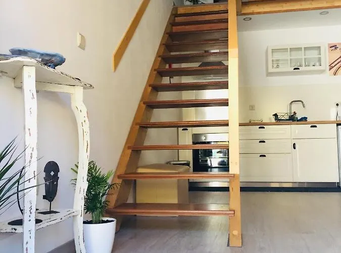 My Historic House 1 펜션 바라간카